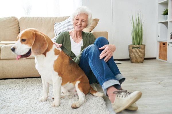 Arthritis Relief for People & Pets